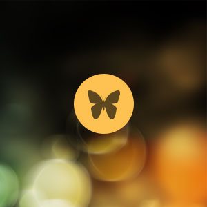 Mobile App Development by Hvantage Technologies Inc.
