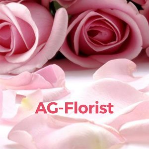 Florist App Development by Hvantage Technologies Inc.