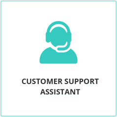 Customer Support Assistant - HvantageTechnologies.com
