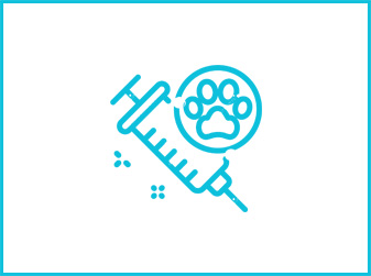 Veterinary Medical Management ERP Solutons at HvantageTechnologies.com