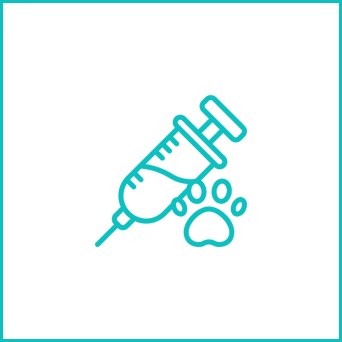 Veterinary Medical Module ERP Solutions at HvantageTechnologies.com